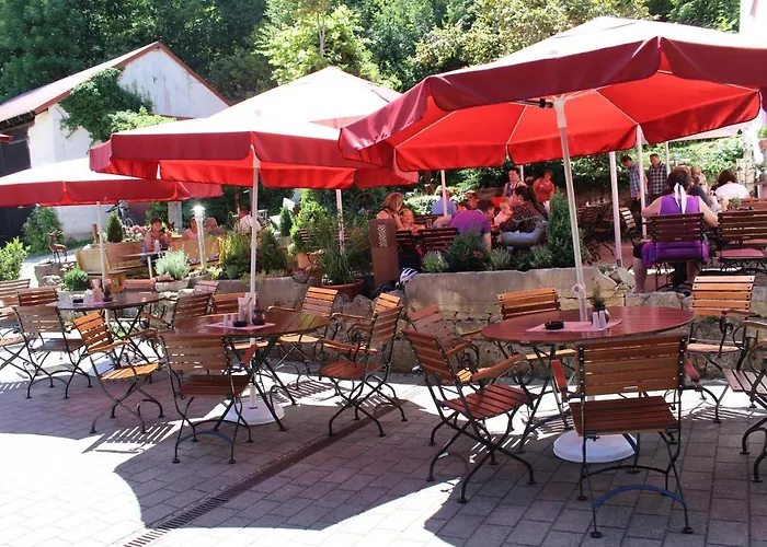 & Landgasthof Forsthof Hotel Kastl (Amberg-Sulzbach)