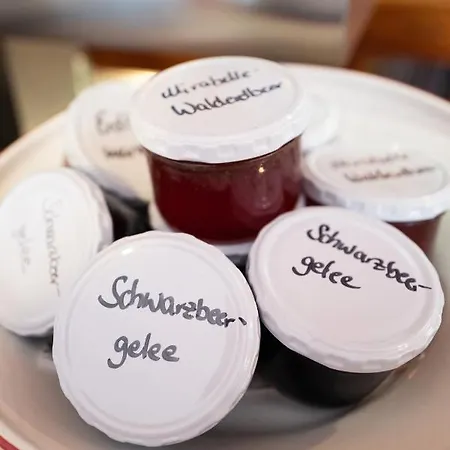 호텔 & Landgasthof Forsthof 카스틀