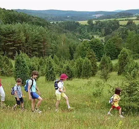 & Landgasthof Forsthof 호텔 카스틀