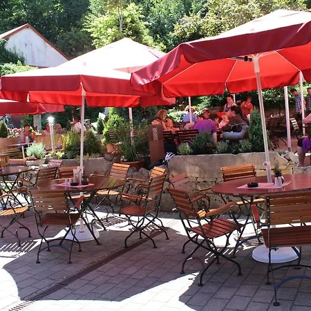 & Landgasthof Forsthof 호텔 카스틀